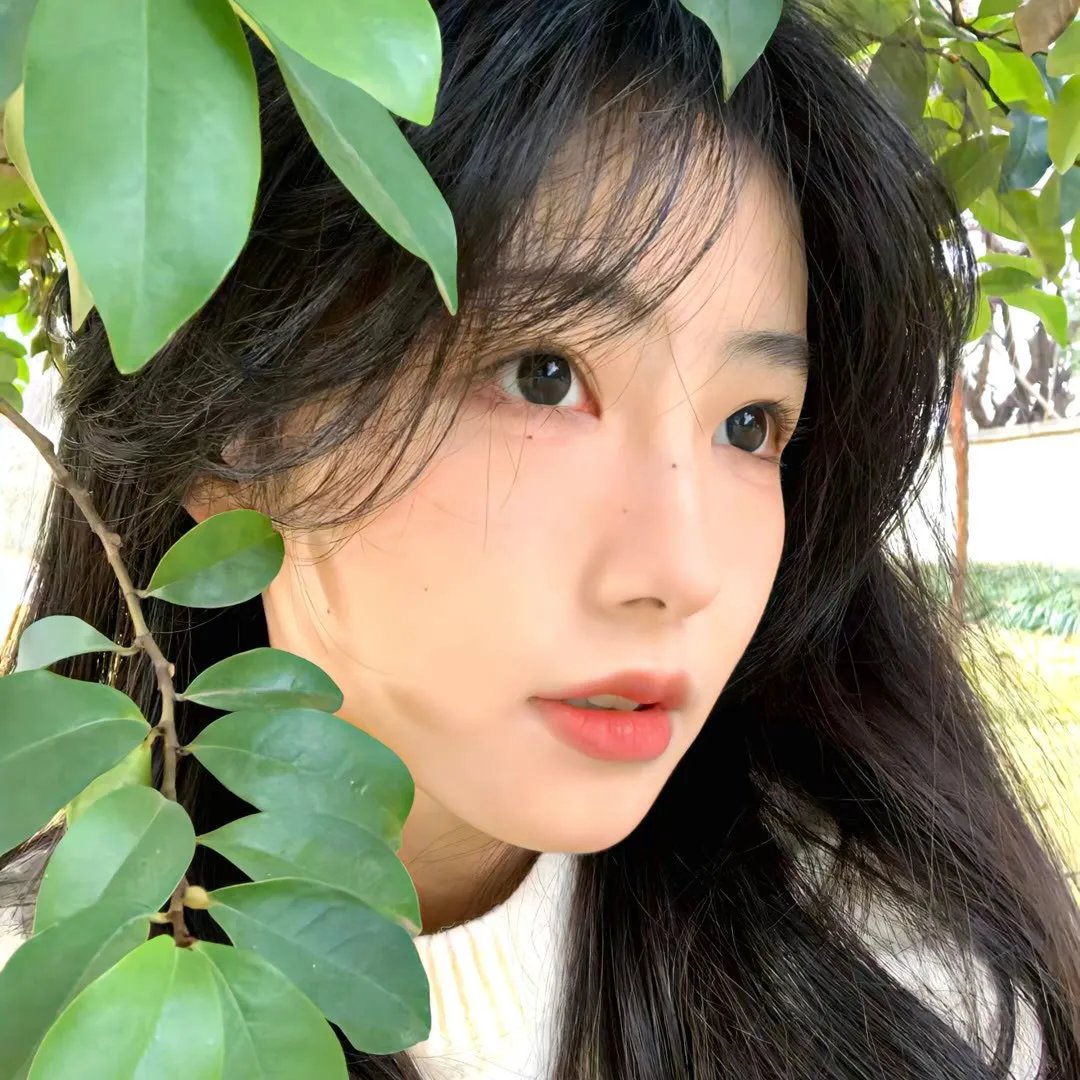 大主宰年番